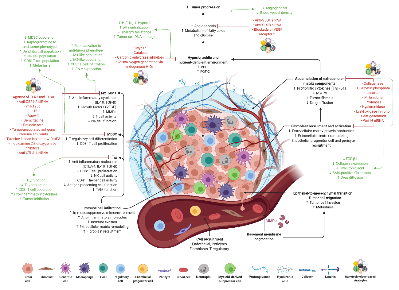 tumor microenvironment